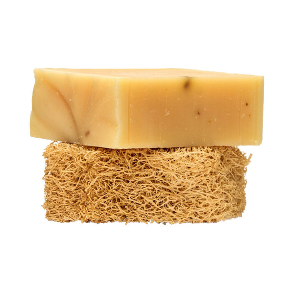 Loofah Soap Dish