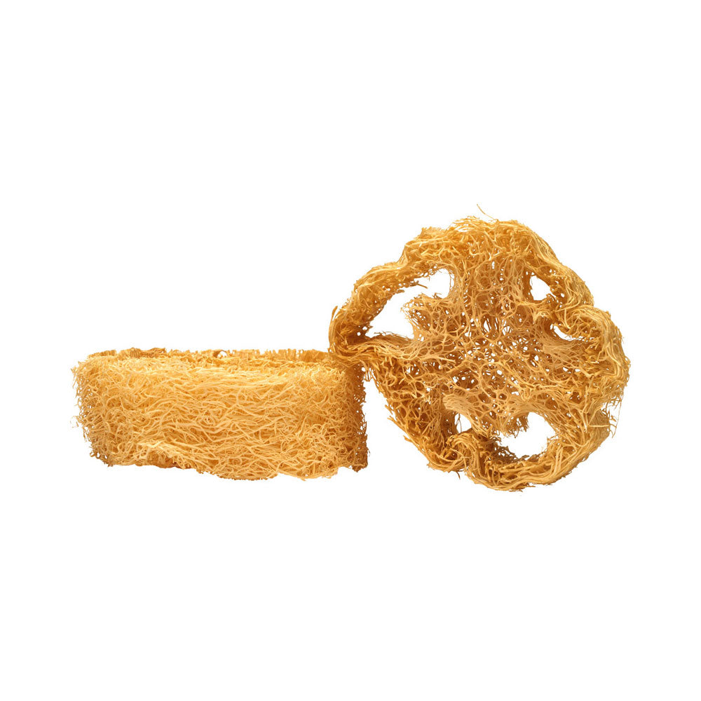 Loofah Soap Dish